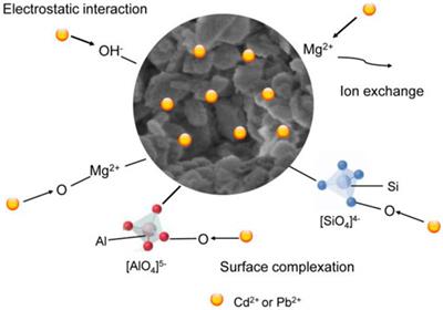 The simultaneous removal of cadmium (II) and lead (II) from wastewater with the application of green synthesized magnesium silicate hydrate